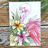 Tropiikin linnut -postikortit